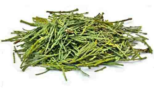 Cedar Leaves & Clusters