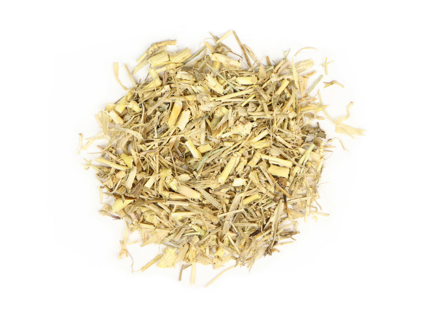 Dog Grass