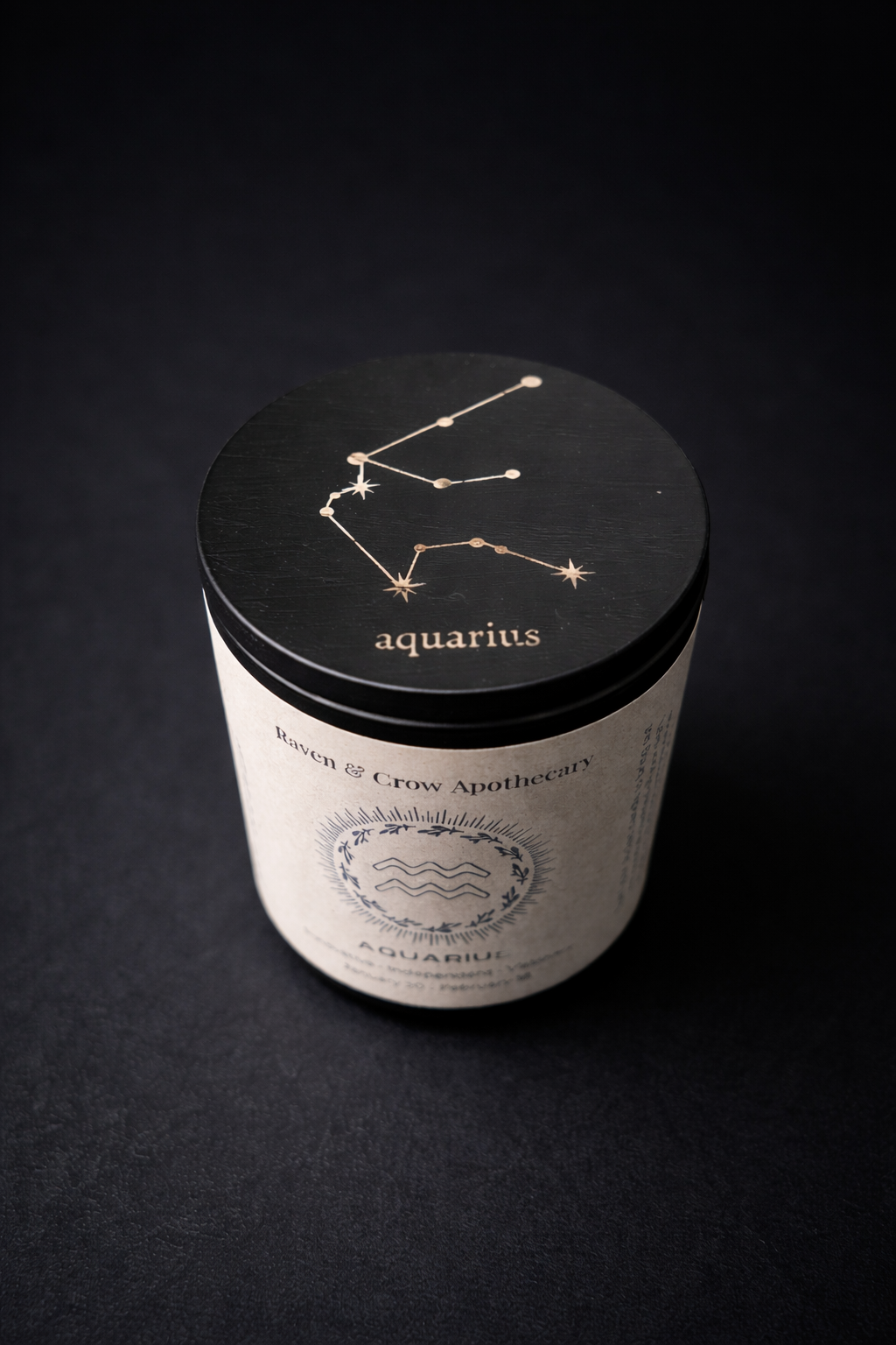 ♒ AQUARIUS (January 20 – February 18)